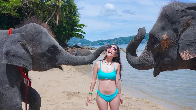 Elephants Trail Phuket @Elephant Beach