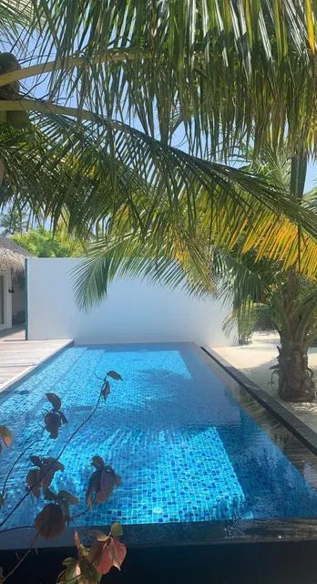 Coralarium at Sirru Fen Fushi Private Lagoon Resort