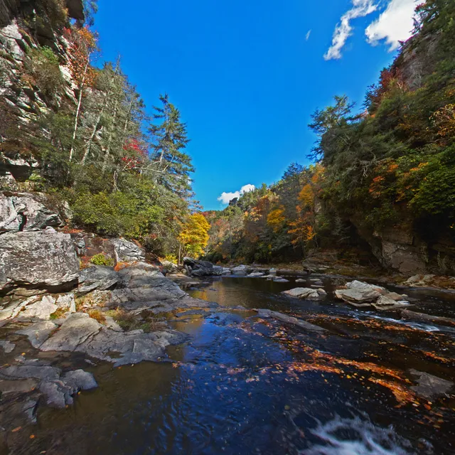 National Park Services