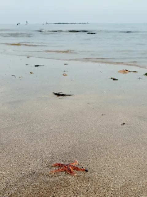 35 Gower Holiday Village