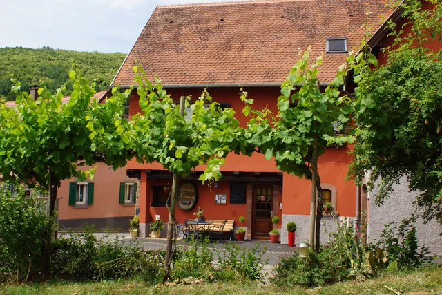 Domaine Léon BLEESZ