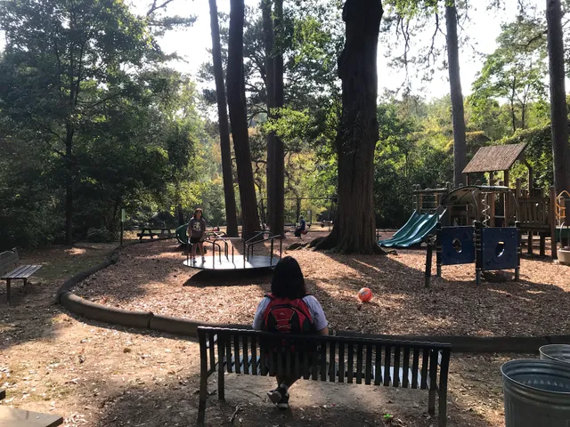 Ardmore Park Playground
