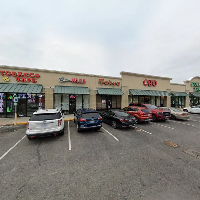 Dillon Shopping Center Inc