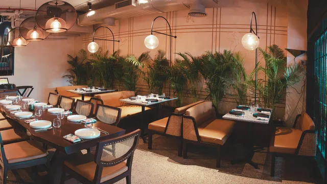 The House of Celeste