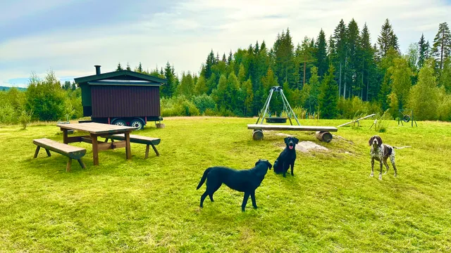 Gråberget Hundepark