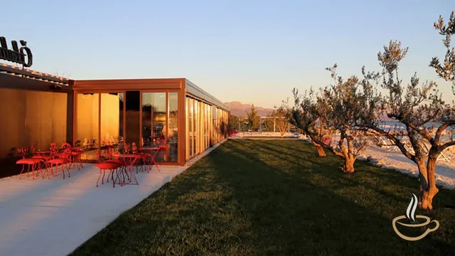 Lemon Tree Apartments