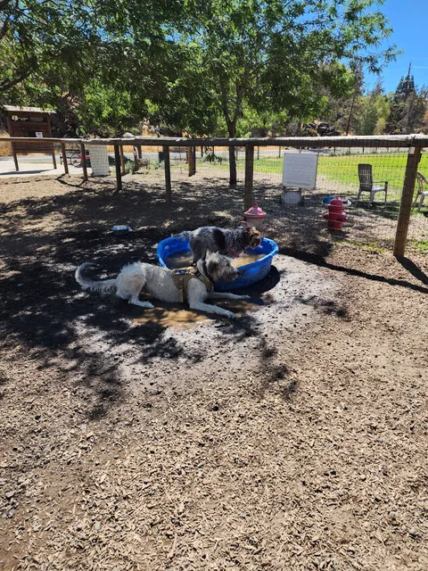 Dry Canyon trail Dog park