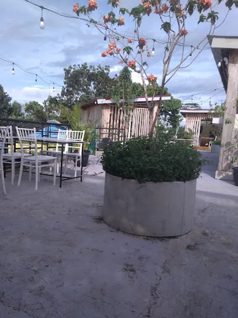 The rafflesia rooftop