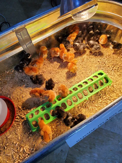 Country Oaks Farm & Home Supply