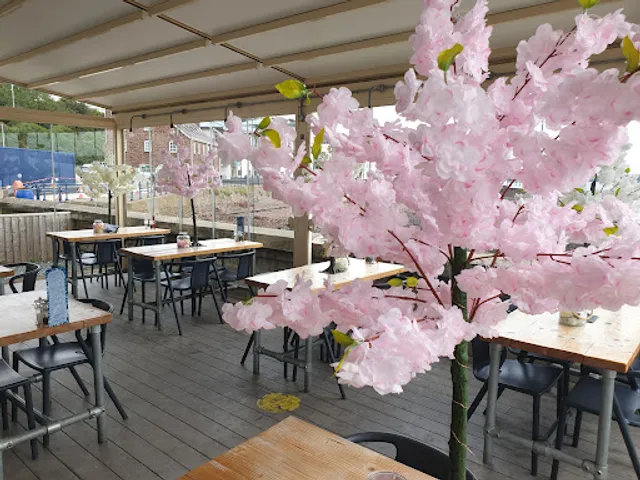 Salt Seaview Bar & Grill