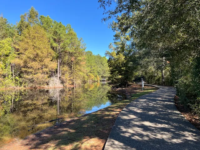 Shadow Lake Marsh Experience