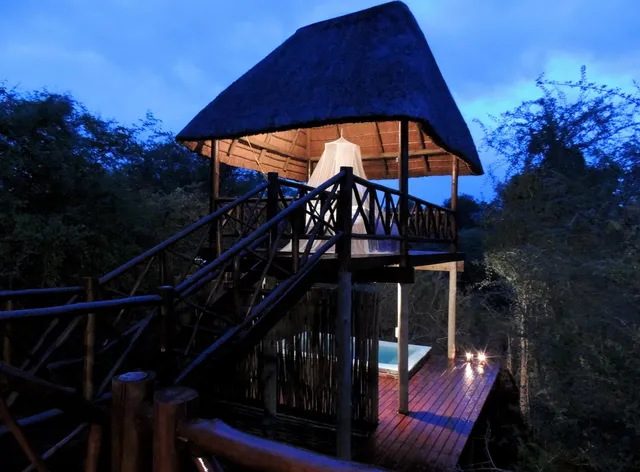 Lion Tree Bush Lodge