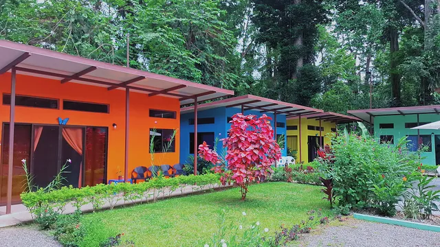 Caribbean Blue Morpho Casitas