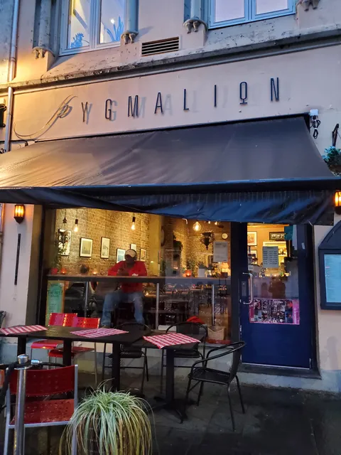 Pygmalion Ecocafe & Gallery