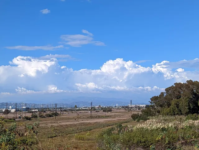 Ballona Wetlands Ecological Reserve