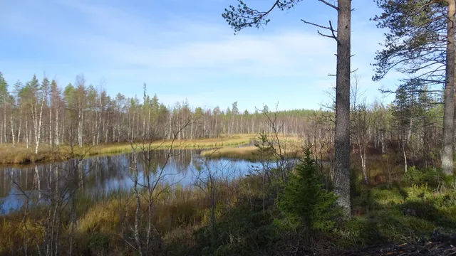 ทัยวาฟิลแลน