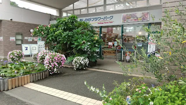 Ashikaga Flower Park Front Gate