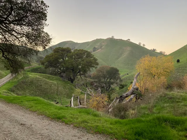 Contra Loma Regional Park