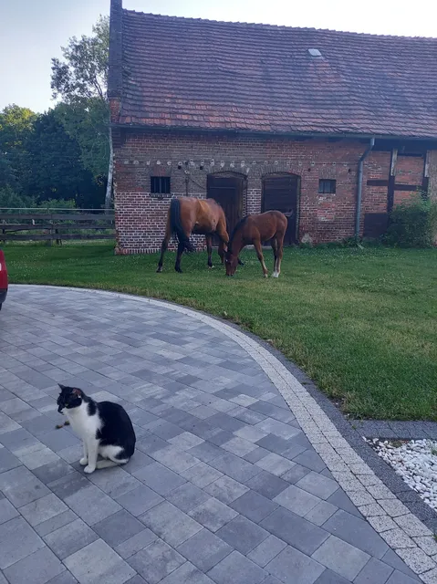 Leśniczówka Grabczok