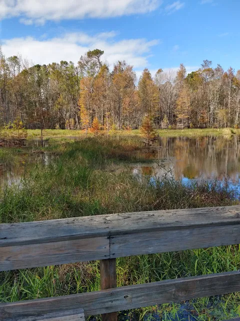 Long Leaf Nature Trail