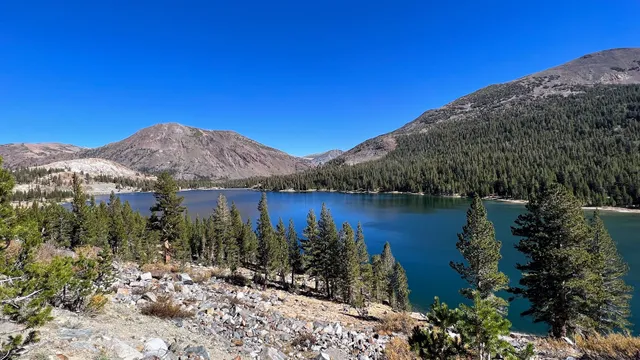 Tioga Lake