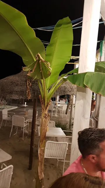 Bar Tabaccheria Bernardi