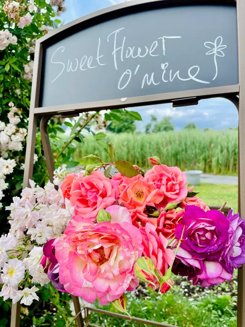 Sweet Flower O' Mine Flower Delivery