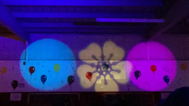 Frank Young’s Sports Arena / Orchard Park Roller Rink