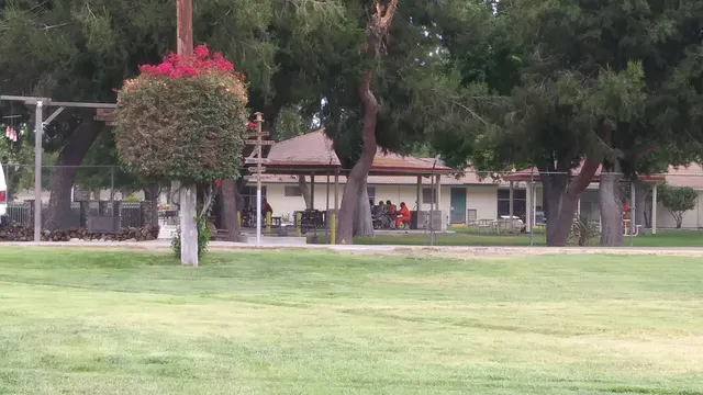 Prado Conservation Camp #28