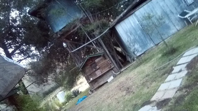 Sequoia Mountain Cabins