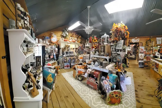 Deez And Beez Boutique