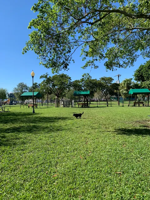 City Paws Dog Park