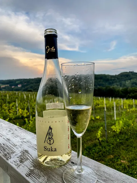 Apartamenty Winnica Sztukówka