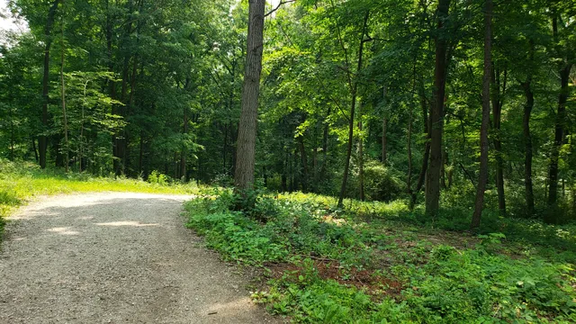 Cook County Forest Preserve