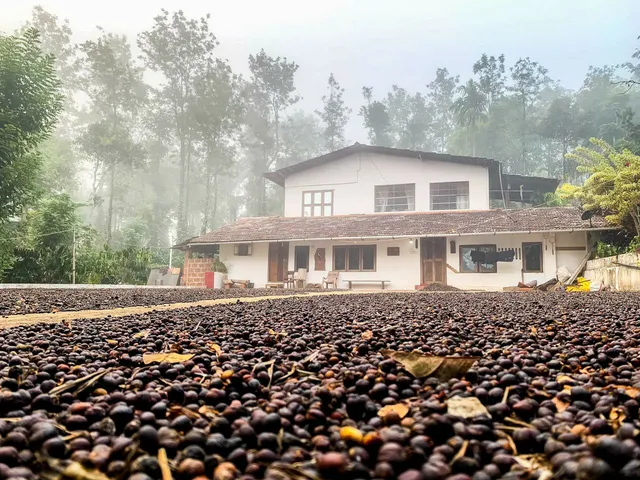 Beans & Blossom Estate Stay and coffee cafe