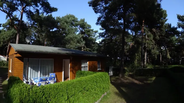 House dune forest Juliusruh