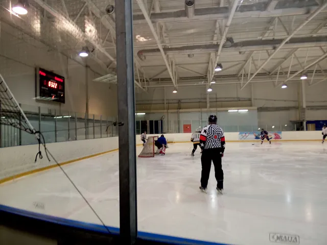 Tsentral'nyy Ledovyy Dvorets