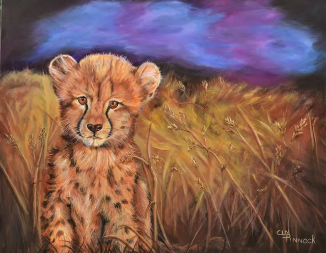 Cin Pinnock Art Gallery