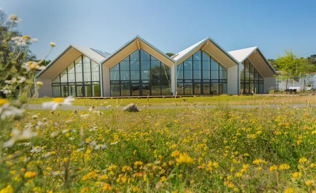 Green Solution House