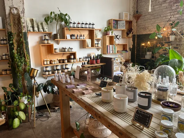 Anima Mundi Apothecary