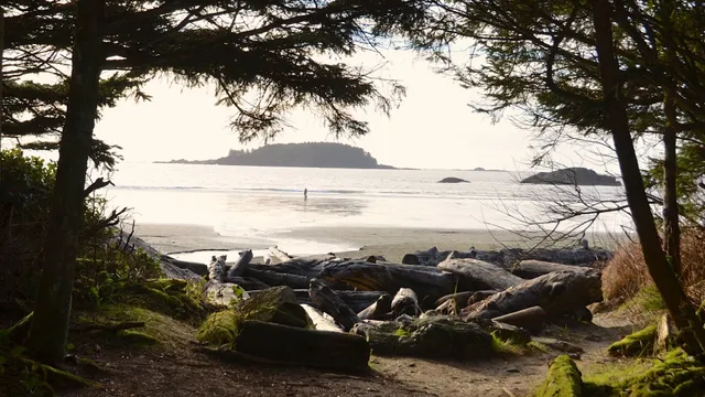 The Point at Chesterman