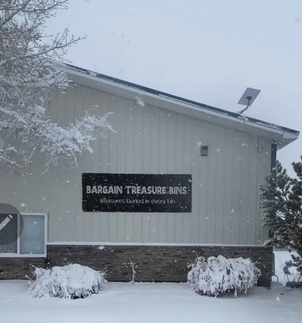 Bargain Treasure Bins