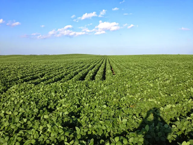 Hermansdale Farm / Herman Seed