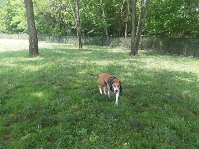 Otto Armleder Memorial Park