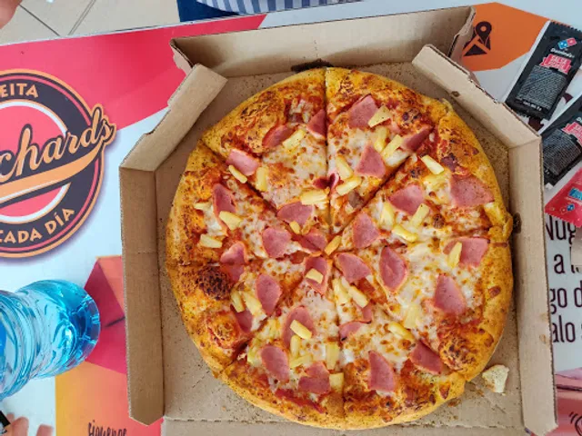 Domino's S.L.P. El Dorado