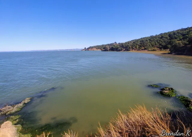 Buckeye Point Picnic Area
