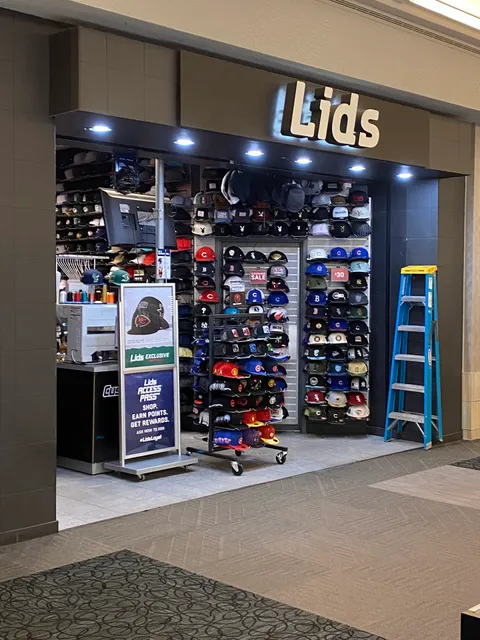 Lids