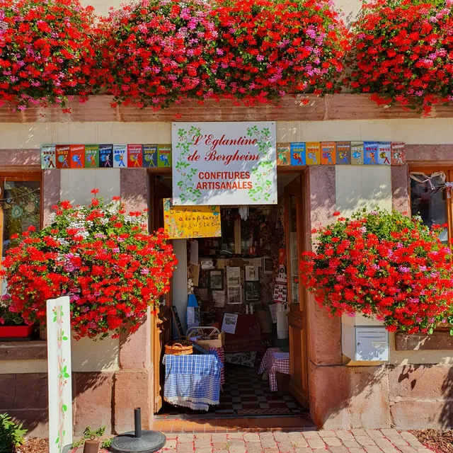 L'Eglantine de Bergheim