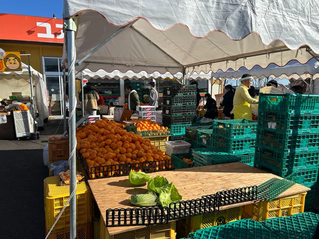 いもゴリラ朝市