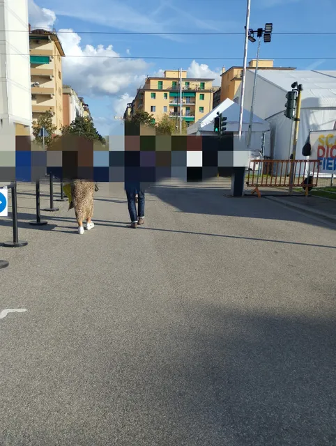 Fiera di Scandicci dal 4 al 12/10